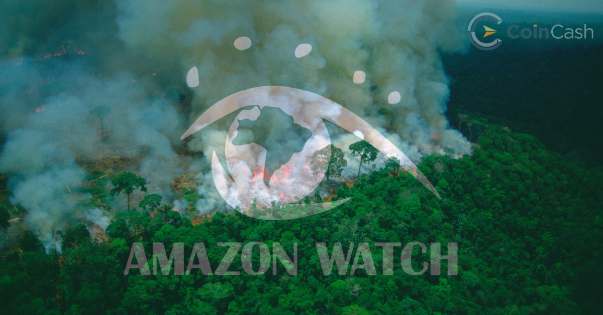 Amazon forest fire: $100,000 donation rejected